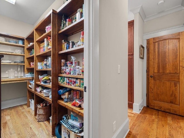 46 Bee Balm Way, Big Canoe, GA 30143 - view of storage area