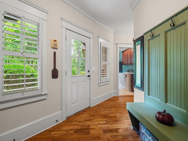 46 Bee Balm Way, Big Canoe, GA 30143 - foyer with ornamental molding, plenty of natural light, dark wood-type flooring, and washer / clothes dryer