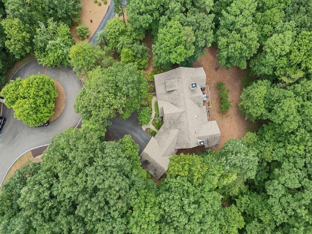 46 Bee Balm Way, Big Canoe, GA 30143 - aerial view of property and surrounding area