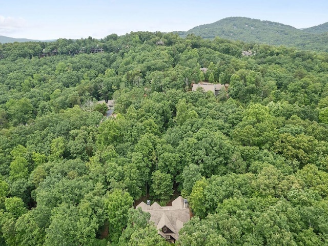 46 Bee Balm Way, Big Canoe, GA 30143 - aerial overview of property's location featuring a forest and a mountain backdrop