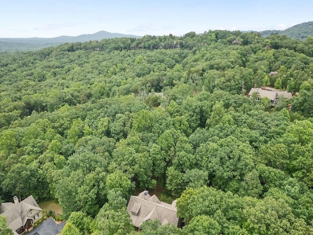 46 Bee Balm Way, Big Canoe, GA 30143 - aerial view of a heavily wooded area and mountains