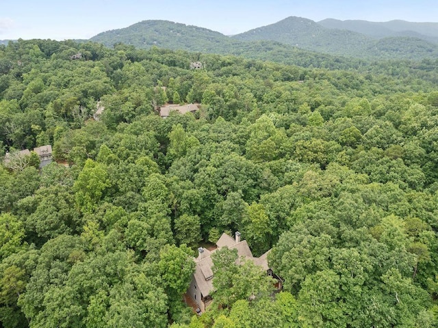 46 Bee Balm Way, Big Canoe, GA 30143 - aerial view of property's location featuring a heavily wooded area and a mountain backdrop