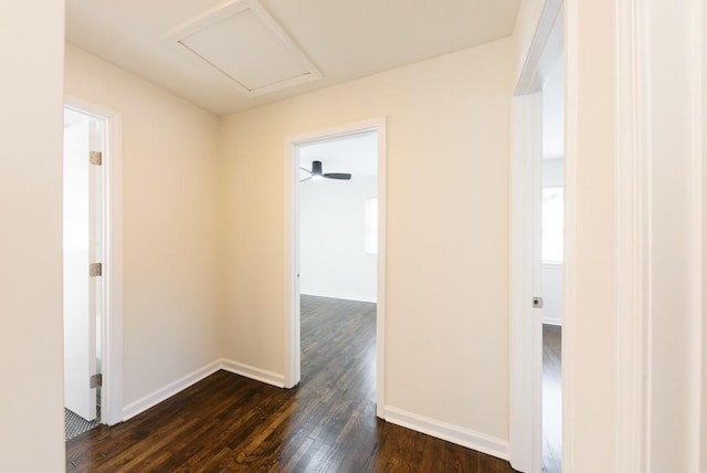 hallway featuring baseboards, attic access, and dark wood-style floors