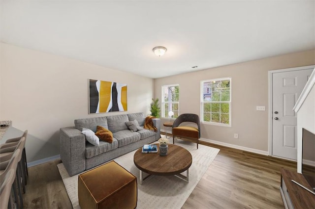 living room with wood-type flooring