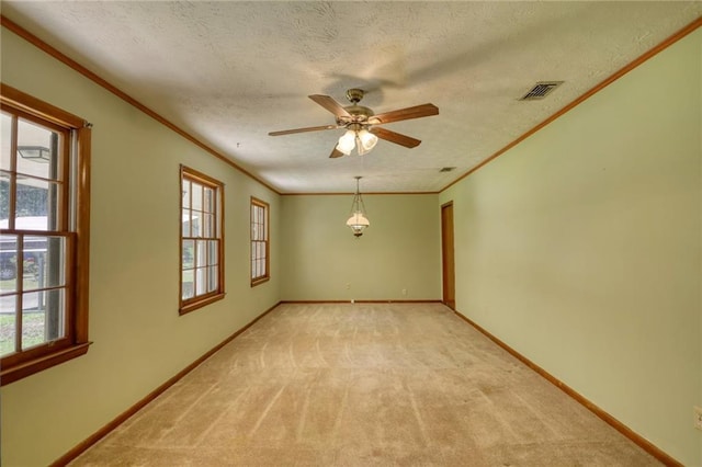 empty room with light colored carpet, a textured ceiling, and a wealth of natural light