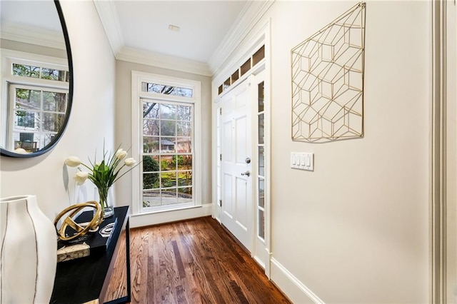 doorway featuring ornamental molding and dark wood-type flooring