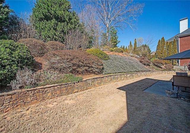 view of yard featuring a patio area