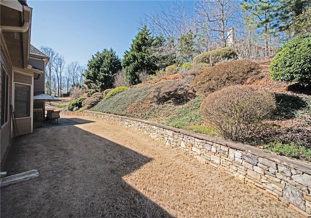 view of yard featuring a patio