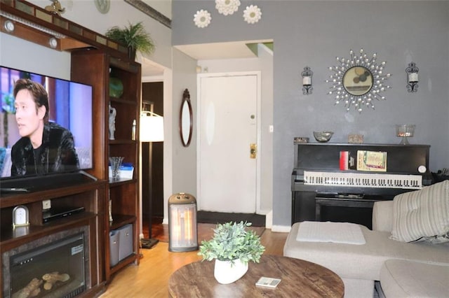 living room with light wood-type flooring