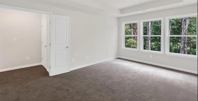 empty room with plenty of natural light, dark carpet, a raised ceiling, and baseboards