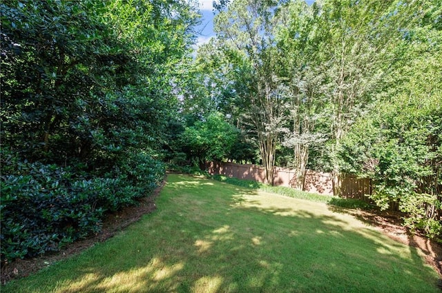1017 Mill Creek Mnr NE, Brookhaven, GA 30319 - view of yard