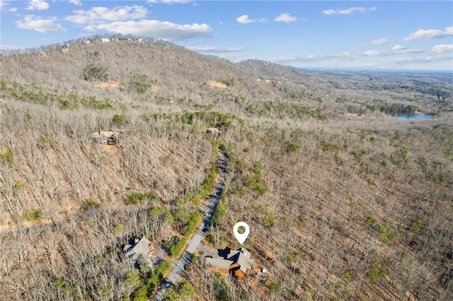 drone / aerial view with a mountain view