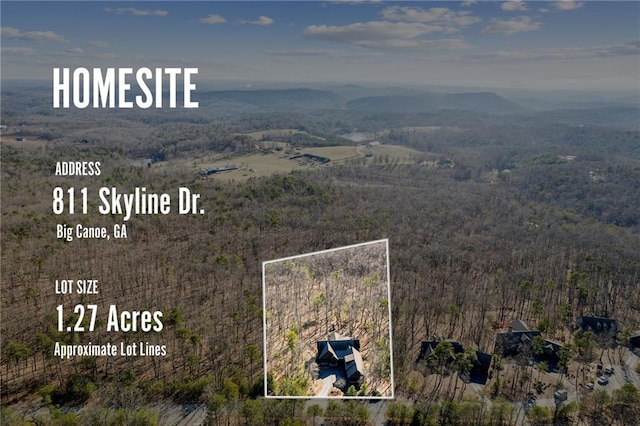 drone / aerial view with a mountain view and a forest view