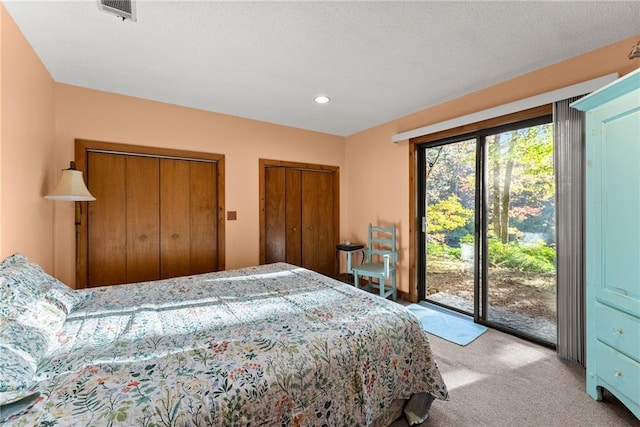 carpeted bedroom featuring access to exterior and a closet