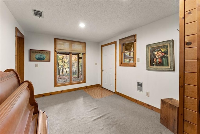 interior space featuring carpet and a textured ceiling