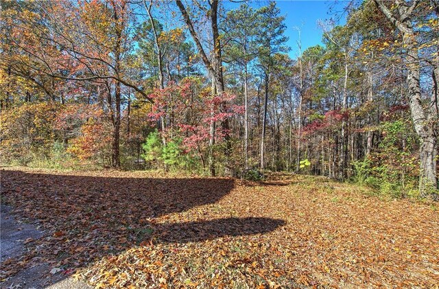 90 Wiley Dr, Douglasville, GA 30134 - view of yard featuring a wooded view