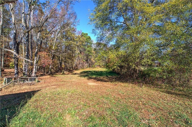 90 Wiley Dr, Douglasville, GA 30134 - view of grassy yard with a forest view