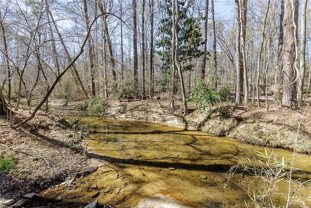 view of nature with a wooded view