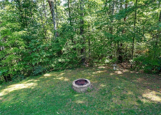 view of yard featuring a fire pit