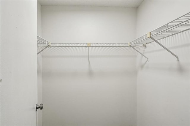 1050 Chapman Cir, Stone Mountain, GA 30088 - view of spacious closet