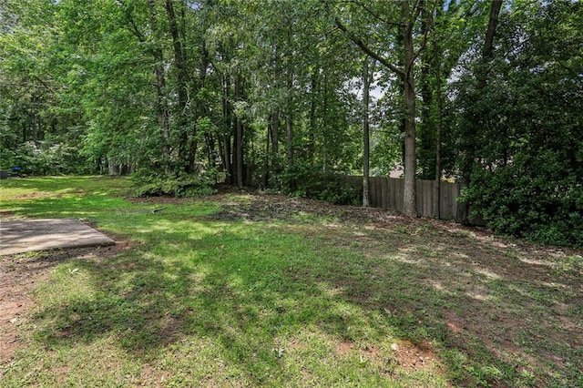 1050 Chapman Cir, Stone Mountain, GA 30088 - view of yard