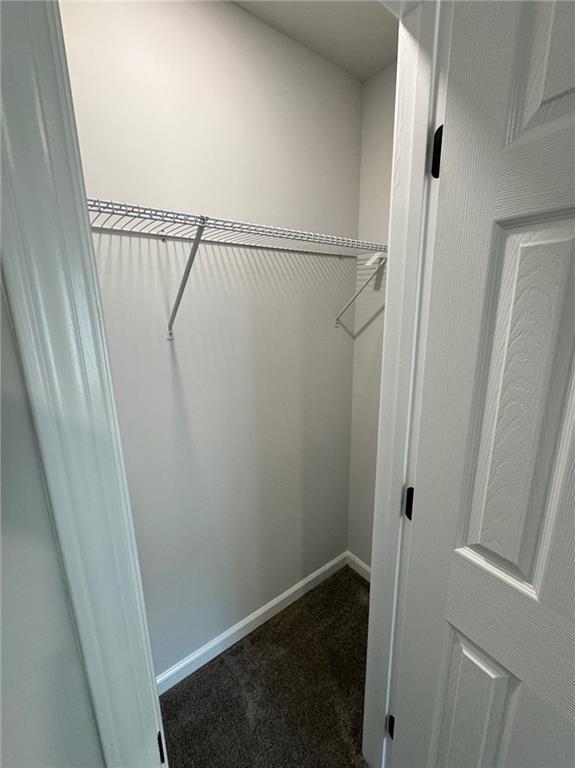 1341 E Atlanta Rd E, Stockbridge, GA 30281 - spacious closet with dark colored carpet