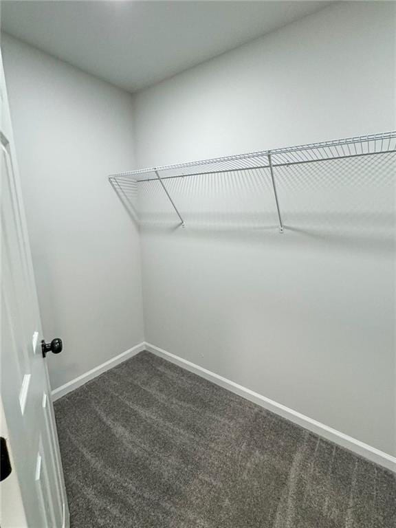 1341 E Atlanta Rd E, Stockbridge, GA 30281 - walk in closet with dark carpet