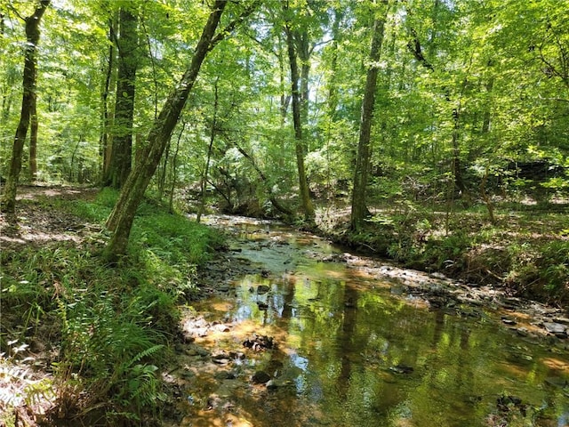 2900 Orchard Rd SW, Conyers, GA 30094 - view of undeveloped land