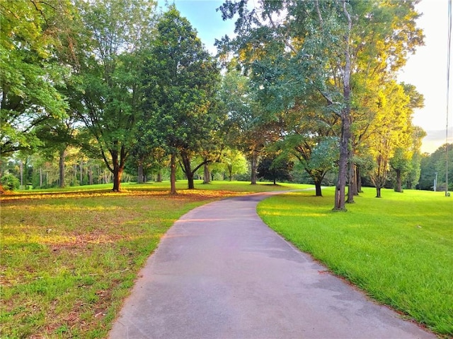2900 Orchard Rd SW, Conyers, GA 30094 - view of community featuring a lawn and view of scattered trees