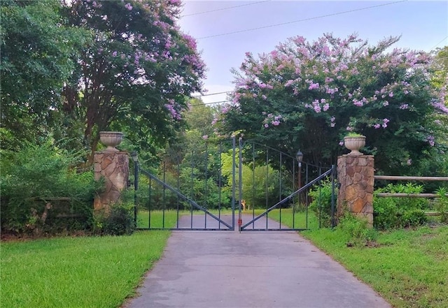 2900 Orchard Rd SW, Conyers, GA 30094 - view of gate