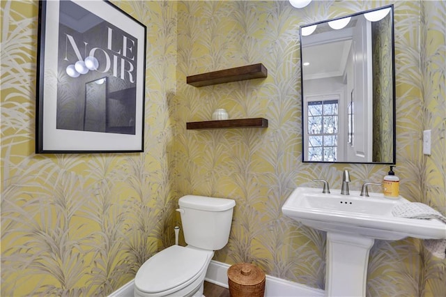 bathroom featuring toilet, crown molding, and sink