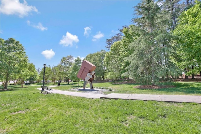 view of community featuring a yard