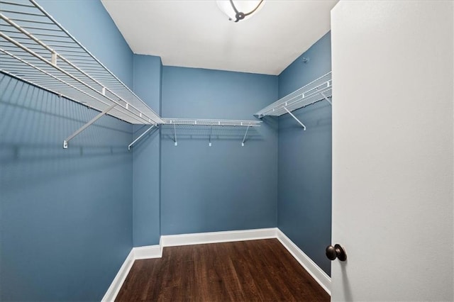 spacious closet featuring hardwood / wood-style floors