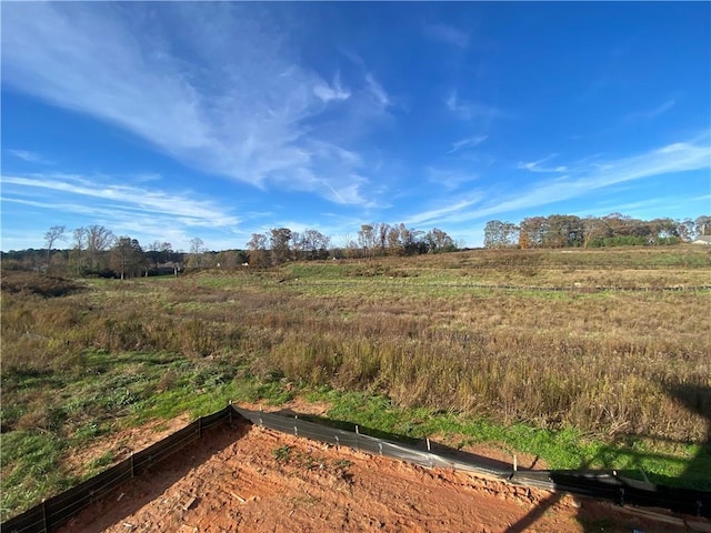 view of yard with a rural view