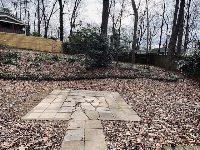 view of yard with a patio and fence private yard