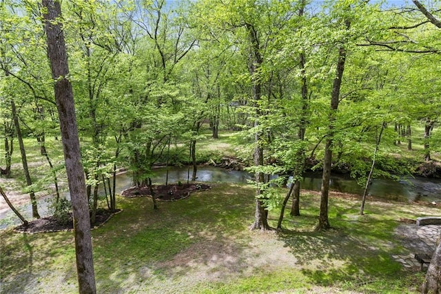 744 Old Loving Rd, Morganton, GA 30560 - view of yard