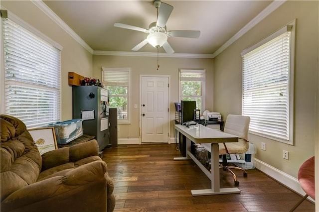 office area with ornamental molding, dark wood-type flooring, and ceiling fan