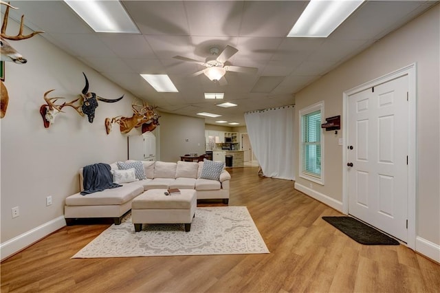 living room featuring a drop ceiling, light wood-type flooring, and ceiling fan