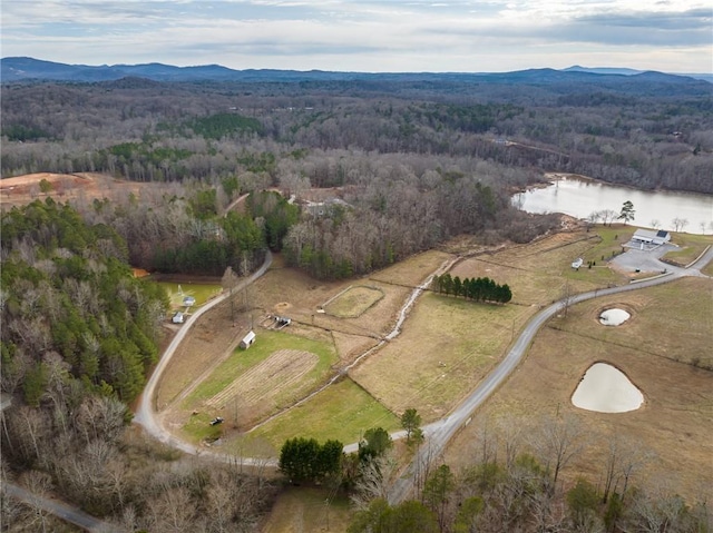 drone / aerial view with a water and mountain view