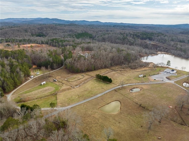 drone / aerial view with a water and mountain view