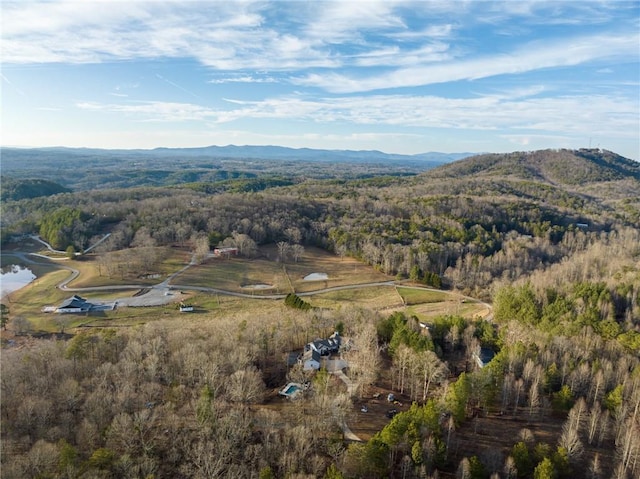 birds eye view of property featuring a water and mountain view