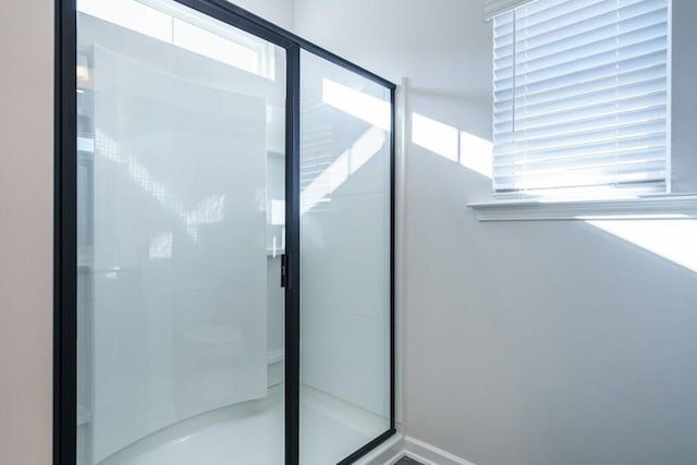 bathroom featuring a shower stall and a healthy amount of sunlight