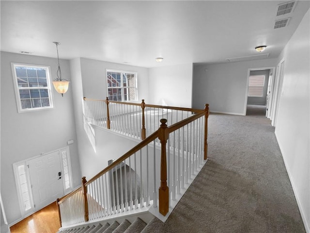 hallway with carpet