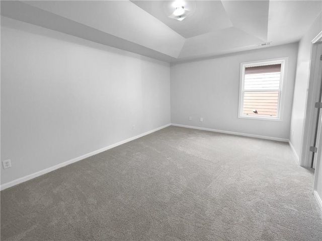 spare room featuring carpet floors and a raised ceiling