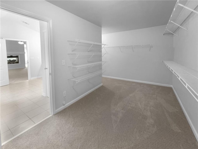 spacious closet featuring carpet flooring