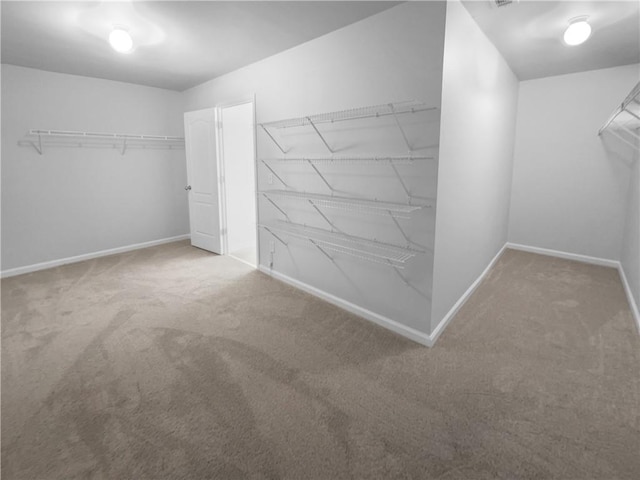 spacious closet featuring carpet