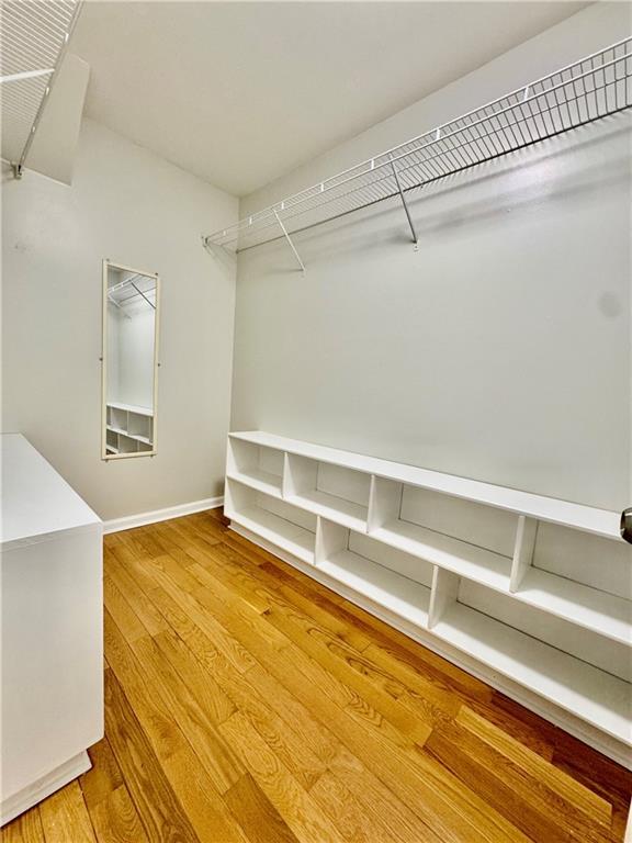 spacious closet with hardwood / wood-style flooring