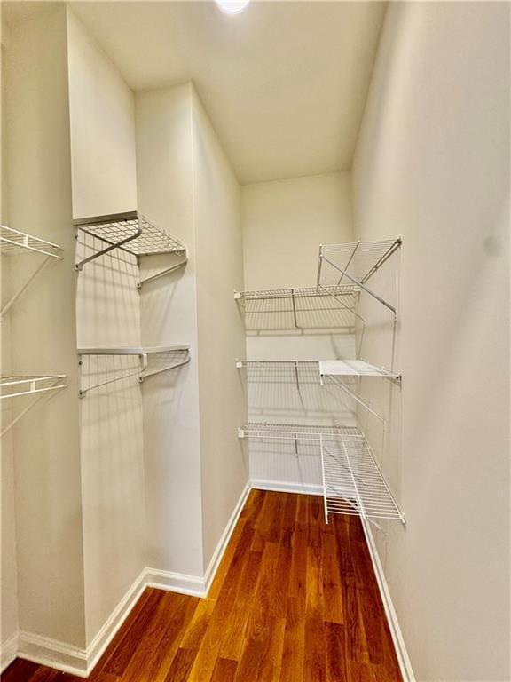 walk in closet with wood-type flooring