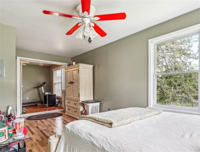 904 Corinth Five Points Rd, Buchanan, GA 30113 - bedroom featuring wood finished floors, multiple windows, and a ceiling fan