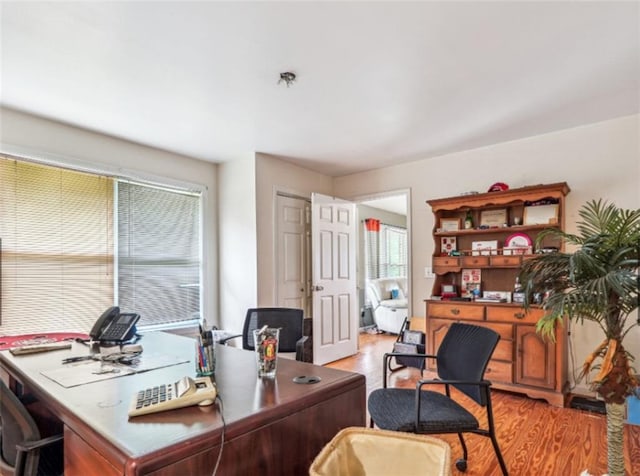904 Corinth Five Points Rd, Buchanan, GA 30113 - home office featuring light wood-style floors